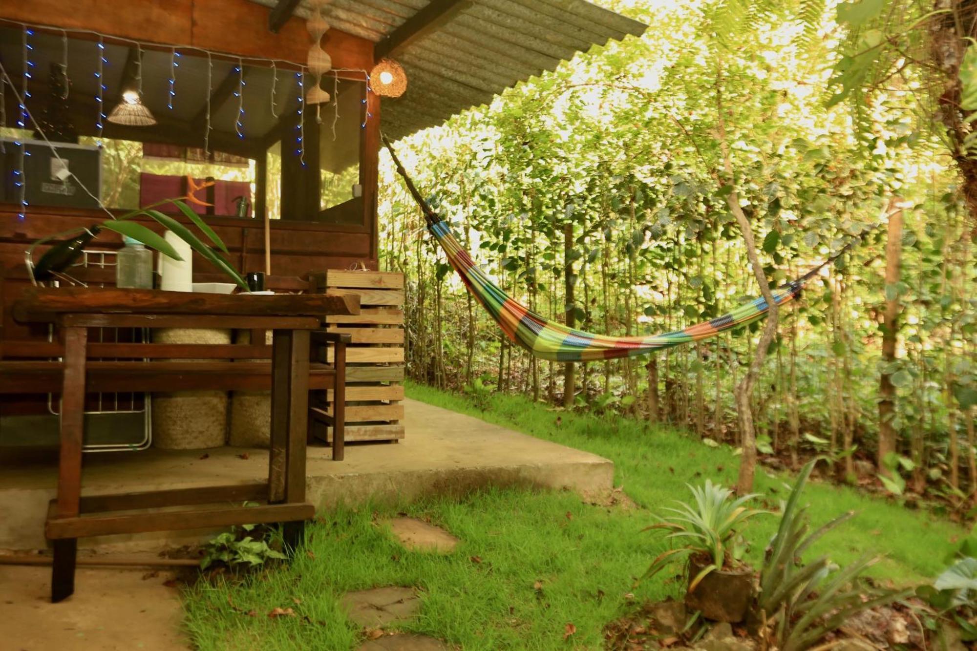 Recanto Dos Passaros Zen Apartamentos Em Meio De Natureza برايا دو فورتي المظهر الخارجي الصورة