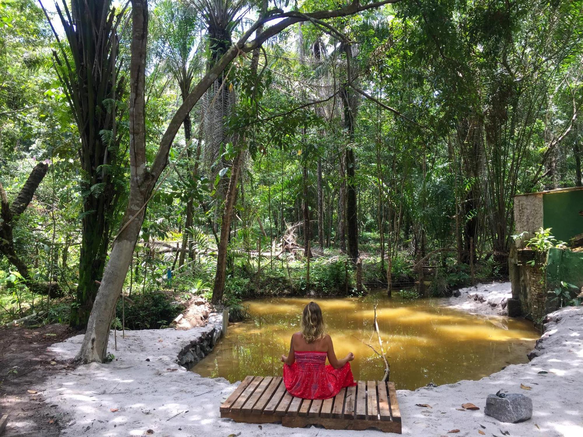 Recanto Dos Passaros Zen Apartamentos Em Meio De Natureza برايا دو فورتي المظهر الخارجي الصورة