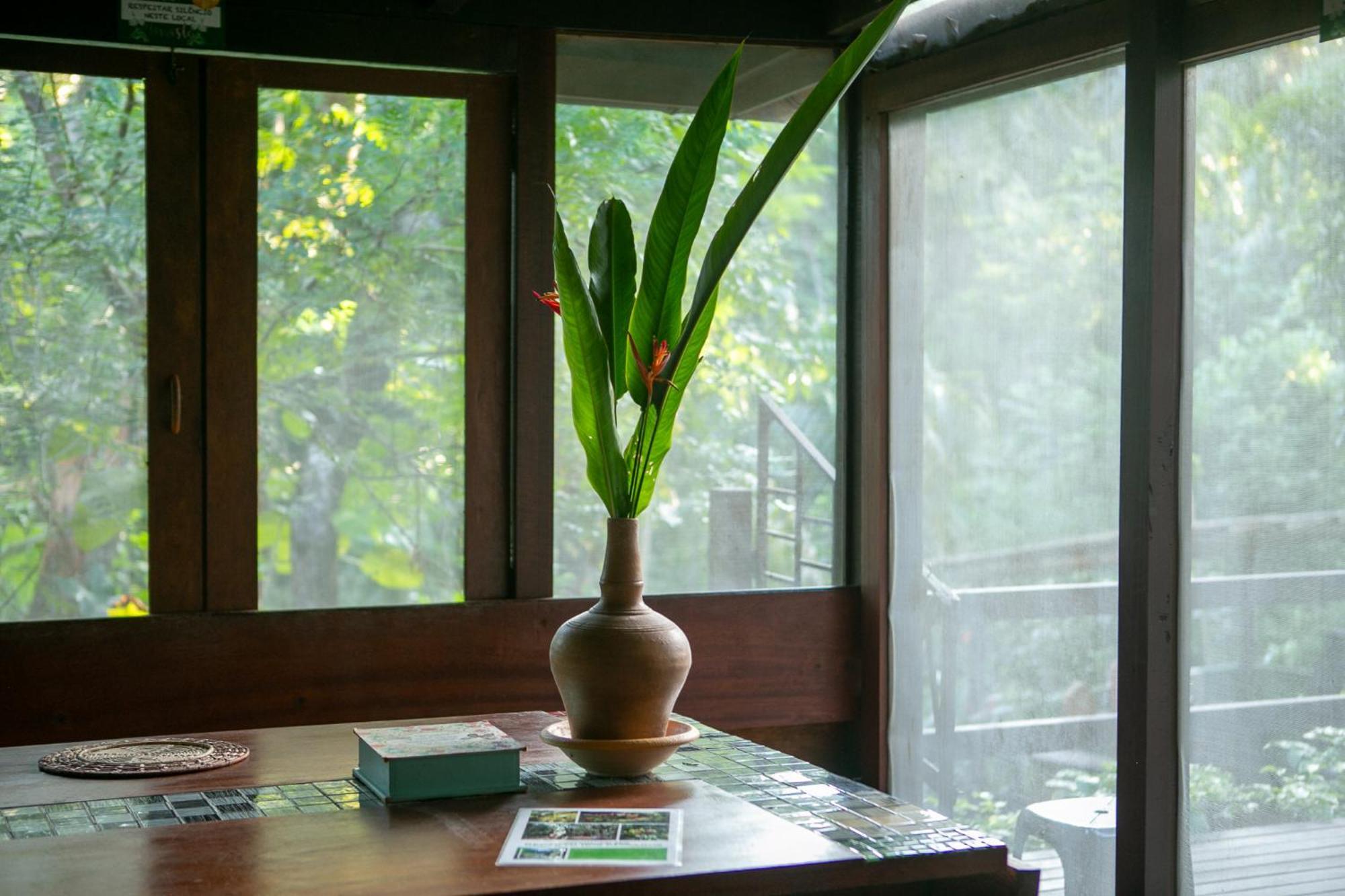 Recanto Dos Passaros Zen Apartamentos Em Meio De Natureza برايا دو فورتي المظهر الخارجي الصورة