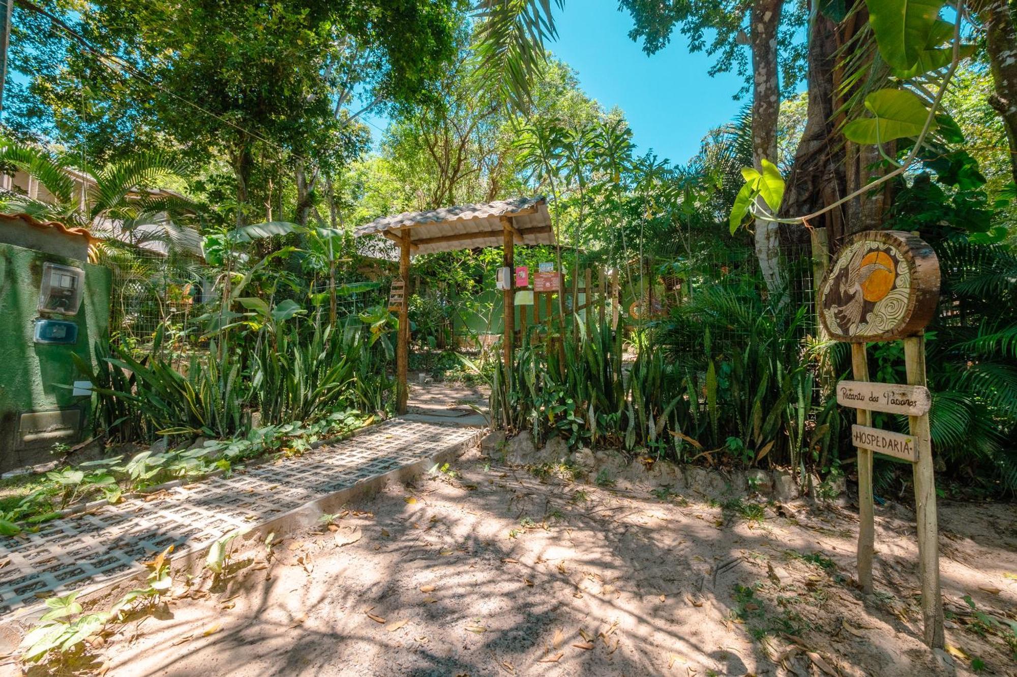 Recanto Dos Passaros Zen Apartamentos Em Meio De Natureza برايا دو فورتي المظهر الخارجي الصورة